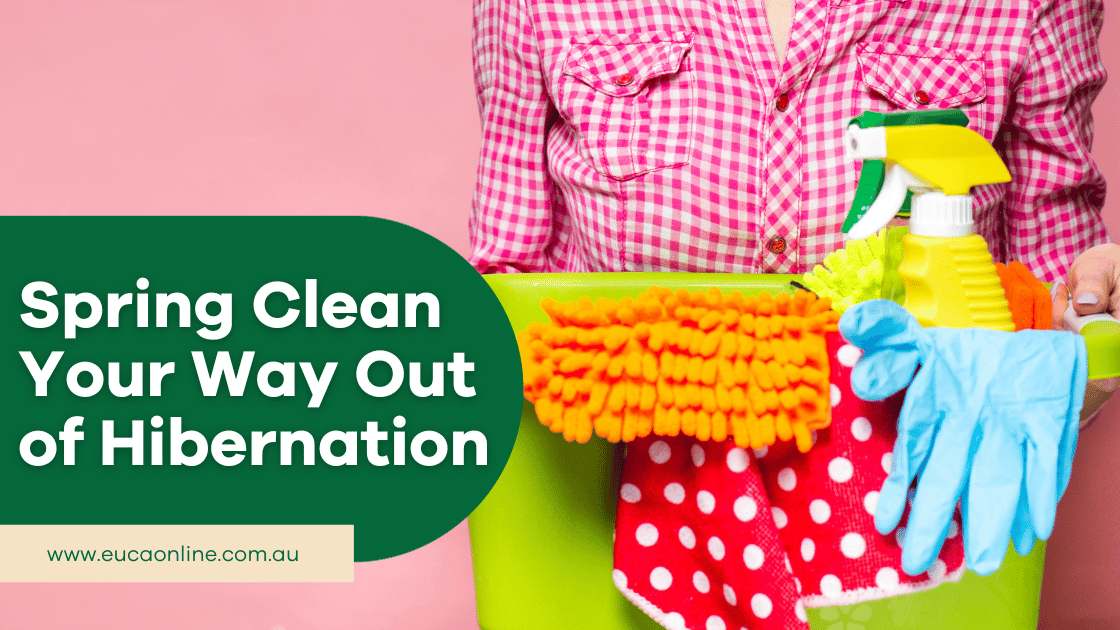 Spring Clean Your Way Out of Hibernation