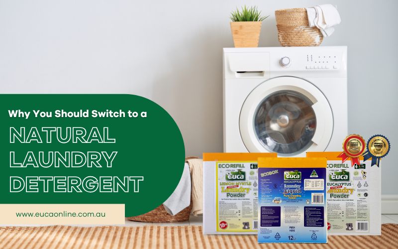 Why You Should Switch to a Natural Laundry Detergent?