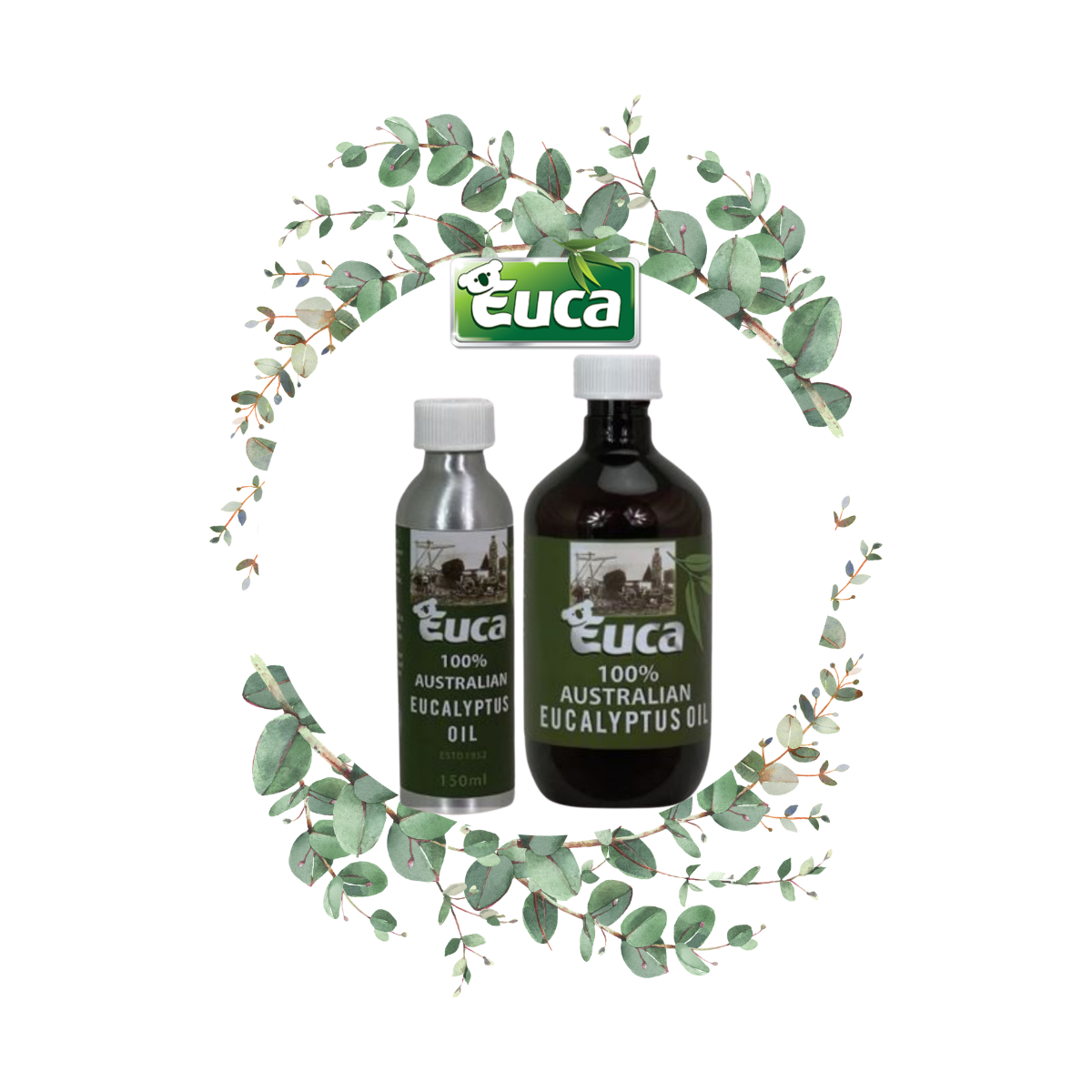 Story of Euca's Eucalyptus Oil Factory