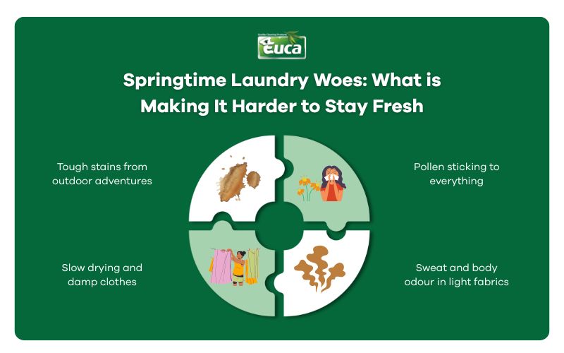 Springtime Laundry Woes: What is Making It Harder to Stay Fresh
