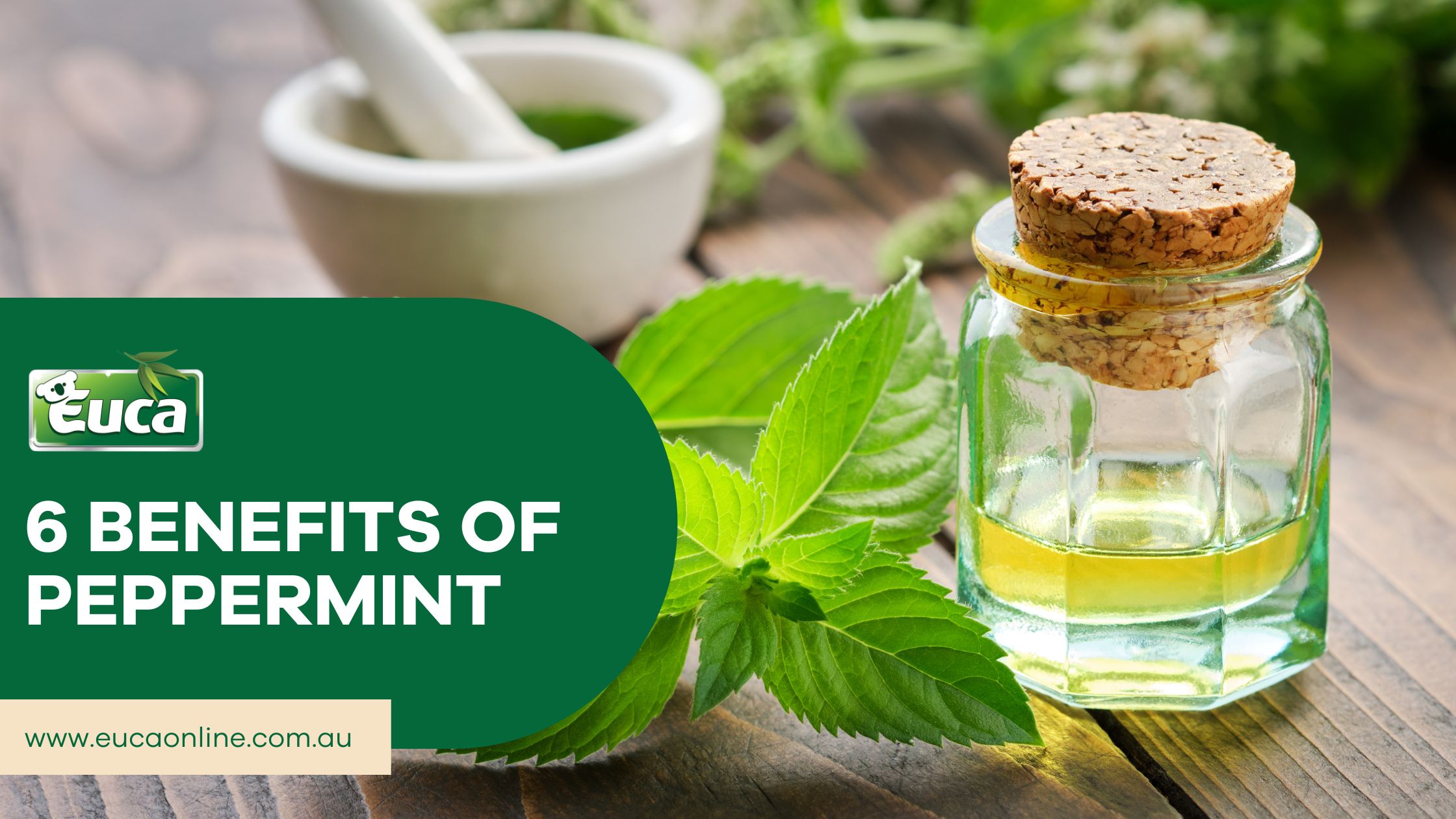 6 Benefits of Peppermint