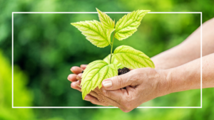 Living Green: Health Benefits of Eco-Friendly Living