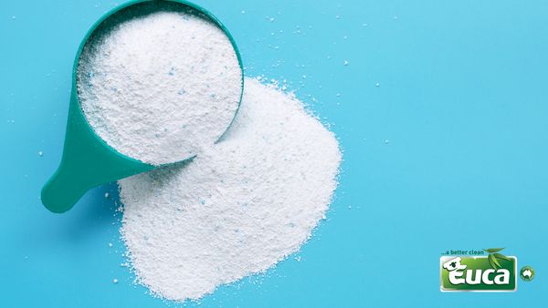 Exploring Alternatives for Plastic Laundry Scoops