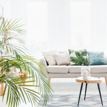 How to Have Cleaner and Healthier Indoor Air?