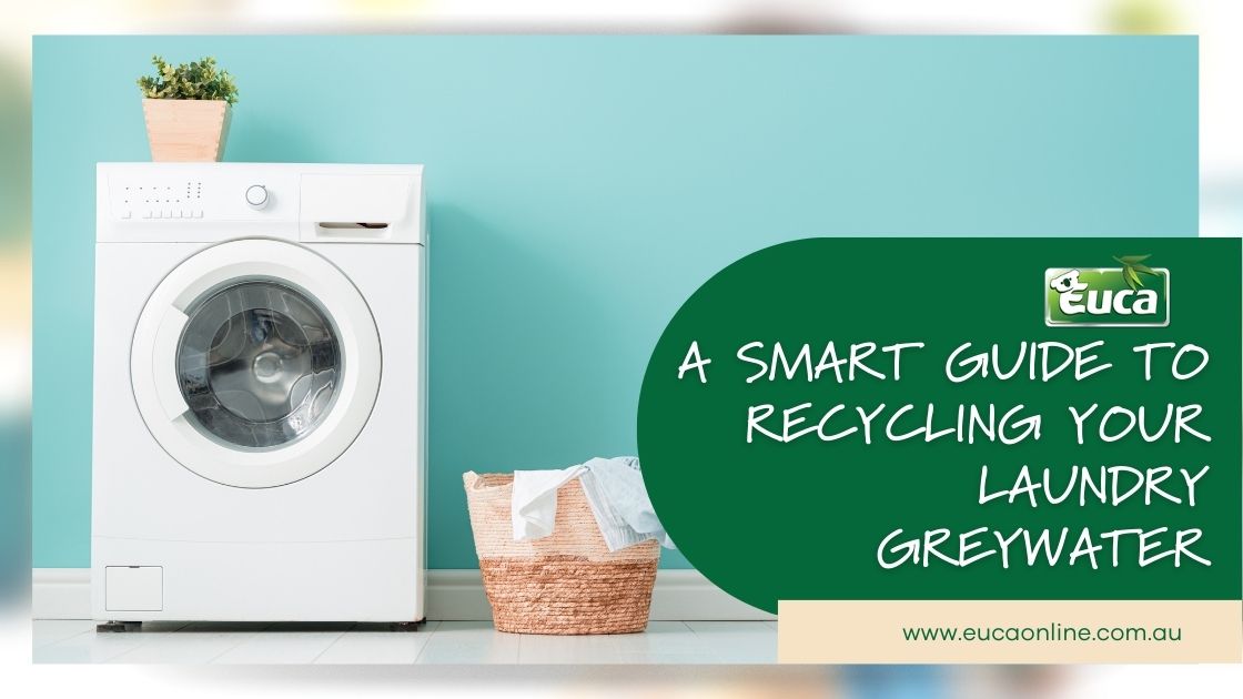 A Smart Guide to Recycling Your Laundry Greywater