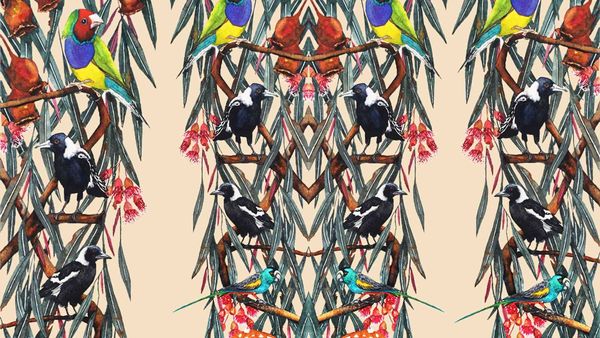 The Story Behind the Euca Website's Australian Art