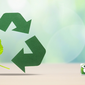 Why Recycling is More Important than Ever Today