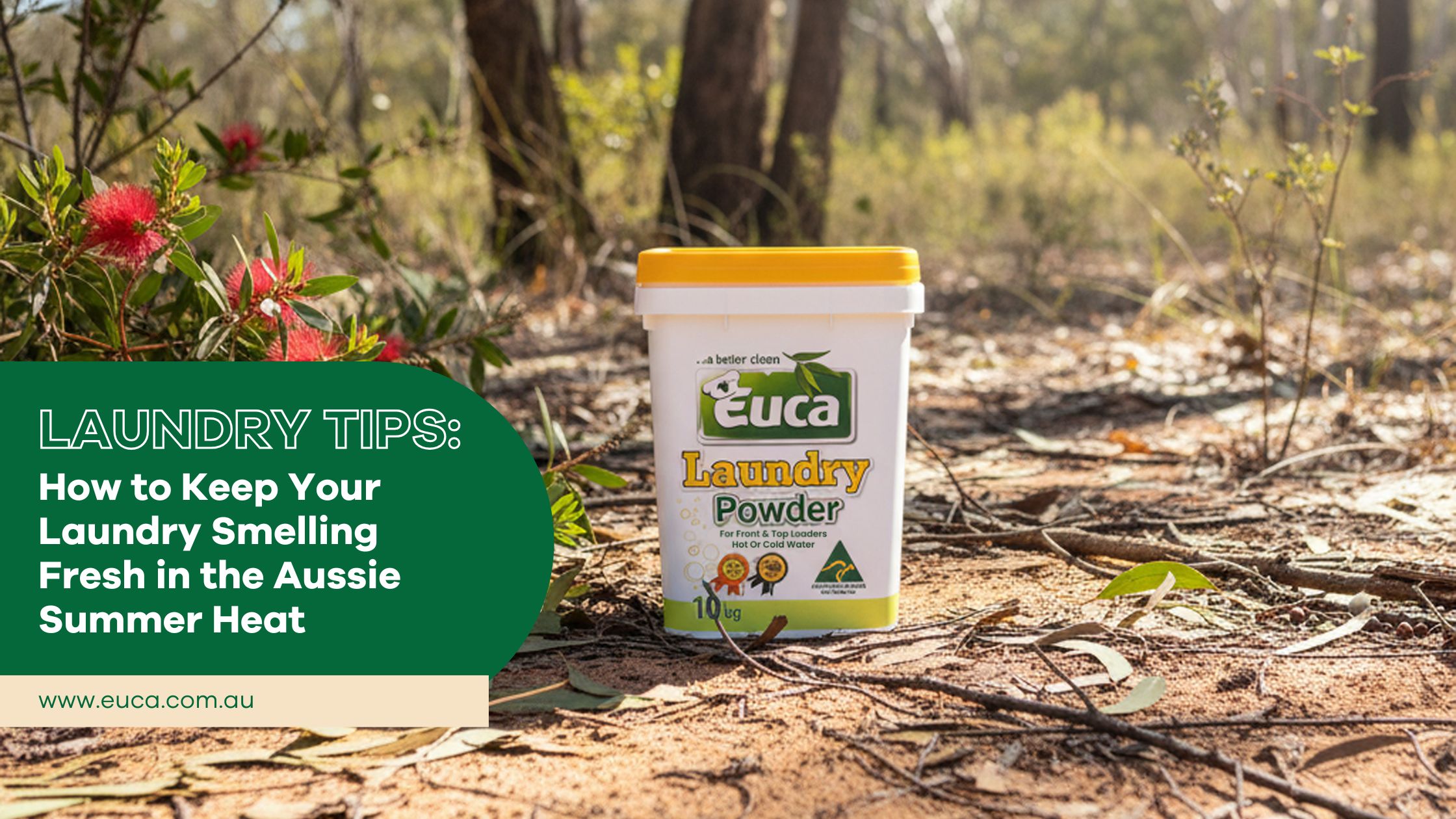 Laundry Tips: How to Keep Your Laundry Smelling Fresh in the Aussie Summer Heat