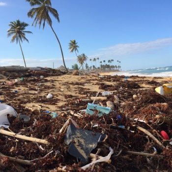 Practically Plastic-Free