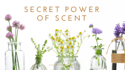 The Secret Power of Scent