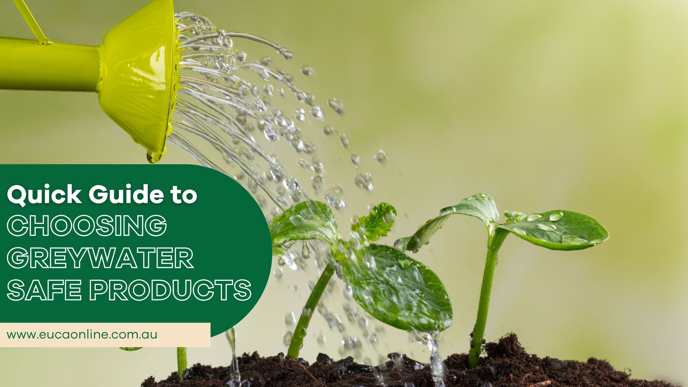 Quick Guide to Choosing Greywater Safe Products