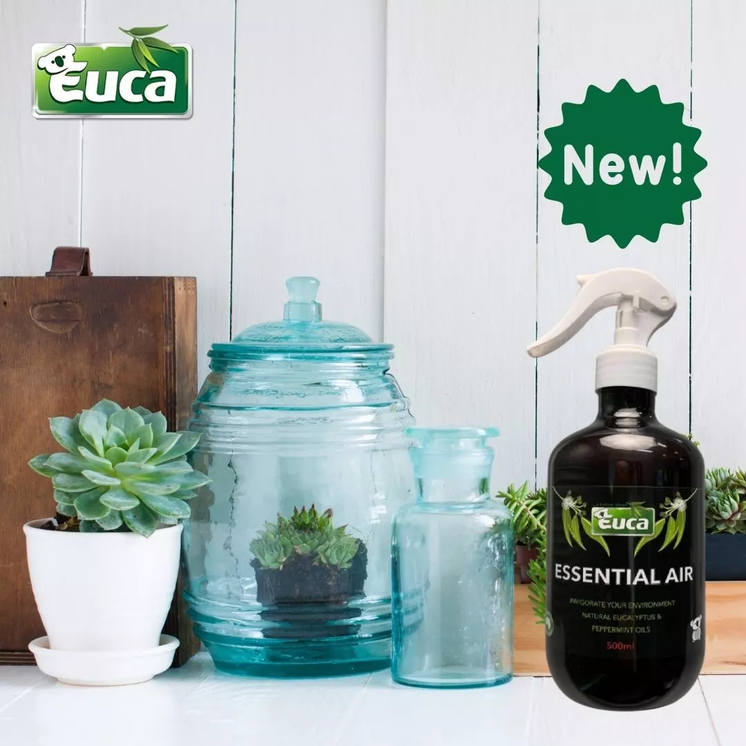 ESSENTIAL AIR FRESHENER EUCALYPTUS RADIATA AND MALLEE 500ML EUCA