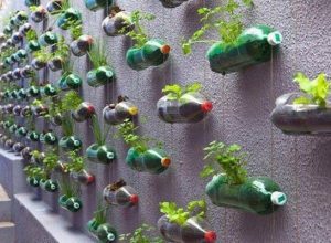 Plastic Plant Holder